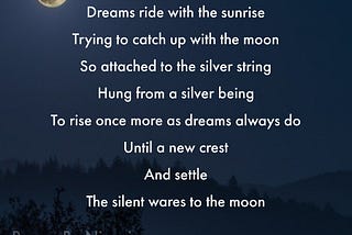Paying Homage To the Moon | Poems By Nisani