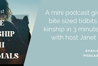 What’s New On The True Kinship With Animals Podcast!