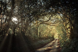 When Slowing Down Makes You See The Road Ahead