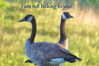Indifference or Ignorance?