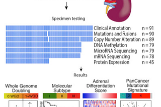 Top 10 Oncology Papers in January