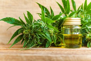 How to get Easily Legal CBD In Canada?