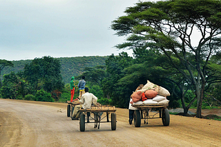 Markets Matter: Rethinking International Development