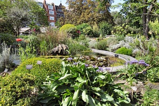 A garden packed with plants around a pond with a giant clam shell. Expensive terraced houses are in the background.
