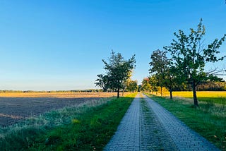 Pathway through a rural area with trees and fields, some late evening sun in the distance. Photo be the Author titled Moment of Peace.