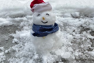 A snowman. A red headwear and blue scarf.