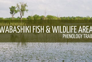 Phenology Trail to Open at Wabashiki FWA