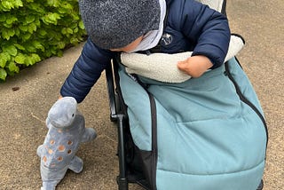 A toddler dressed in winter clothes sits in his stroller, holding a blue dinosaur