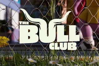 The Bull Club | Toxic Tesseracts | MetaVerse | Security & More!
