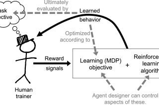 Identifying reward functions and the concept of discounted rewards