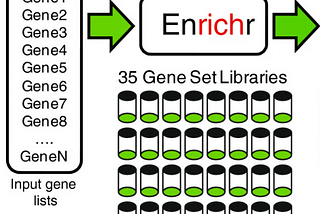 How to use GSEApy for pathway enrichment analysis