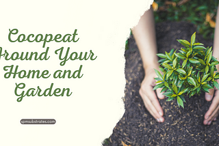 10 Surprising Ways to Use Cocopeat Around Your Home and Garden