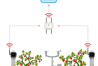 Digitizing and Speeding Up Agriculture Development In India