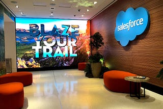 Best Salesforce Consultant in the World