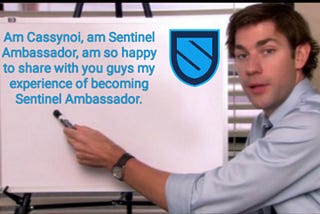 MY AWESOME EXPERIENCE OF BECOMING SENTINEL AMBASSADOR
