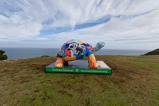 The Jersey Tortoise Takeover — Cycling Challenge!