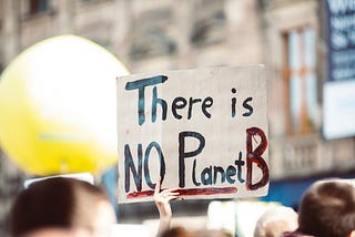 Photo from a ‘Save the Planet’ rally. Focus on a sign “There is NO Planet B”
