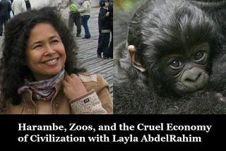 The Cruel Economy of Civilization with Layla AbdelRahim