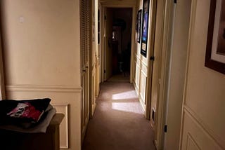 The Quiet Hallway