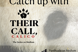 Catch up with Their Call, Calico on Medium