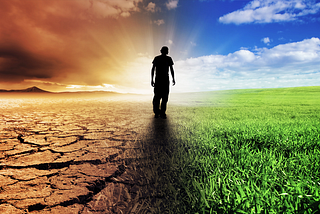 What is The Law of Life?