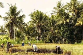 On the Journey to Just Energy Transition in Developing Countries: Implementation Challenges