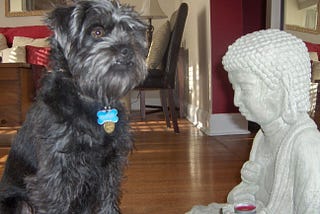 A small black dog stands next to a small statue of a seated Buddha
