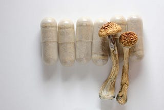 two dried mushroom stems atop a line of microdosing capsules