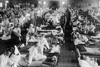 Some Historical Considerations About the 1918 Flu Epidemic