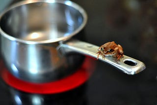 A frog observing the boiling water