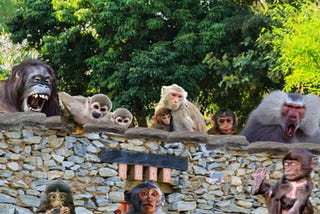 Monkeys peering over a wall at three monkeys on the ground playing with electronics or thinking.
