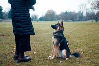 We Need A Better Word for Dog “Owner”