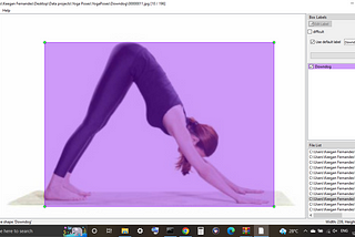 Identify Yoga Poses Using Object Detection