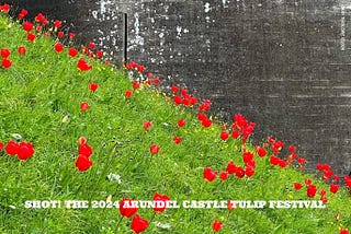 Shot! The 2024 Arundel Castle Tulip Festival.