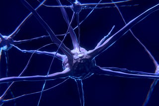 Funding Alert: Up to $20M for Collaborative Research in Computational Neuroscience