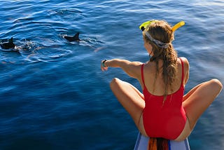Dive into Thrills with the Best Adventurous Activities in Nelson Bay!