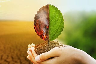 Decarbonizing Healthcare in India : Pioneering Sustainability in Healthcare Infrastructure