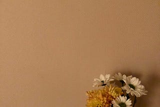 Танилцаж амжсан тэр эмэгтэй