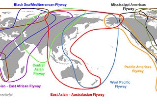 The twins in a modern conundrum — climate and biodiversity