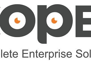 ERP Development Company