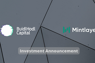 Investment in Mintlayer