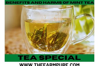 Good and Bad of Mint Tea