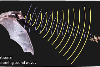 Bat Algorithm