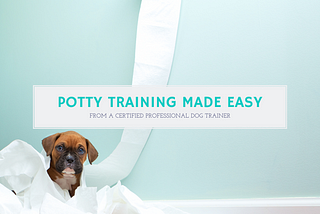 Puppy Potty Training — A Step-by-Step Guide