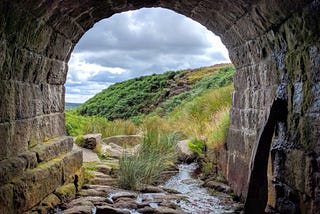Year 2016 in review and the path ahead
