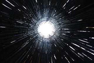 A photo from inside an art installation made of long black stems of bamboo arranged in a circle. The photo is taken from the ground looking up through the circle opening at the top and into a bright, white, overcast sky. Several small gaps between the stems are creating the effect of small lines of white light pointing into the centre white circle.