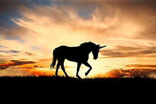 Stop Chasing Unicorns — Build Profitable Businesses