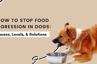 How to stop food aggression in dogs