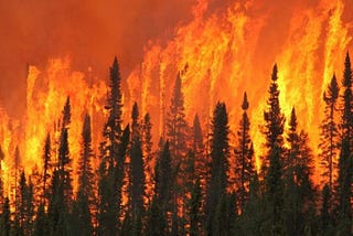 The case for optimism (the long-view) on climate change