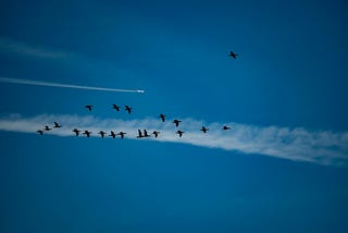 Seamless Transition to Sonic V3: Auto-Migration of DAO Liquidity Pools